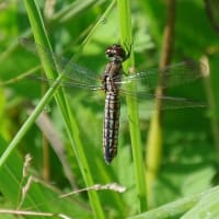6月二回目の教室　虹色に輝く