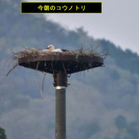 今日の『お写ん歩』終了！！（2025年4月17日）