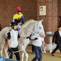 函館競馬・２歳新馬戦で “白毛馬” 快勝．．．