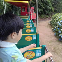 念願かなって