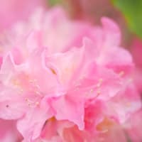 君達に夢中っ♡ 素敵な木曜日っ♡