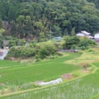 田舎へ　６月　③