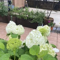 体調管理はまずまず