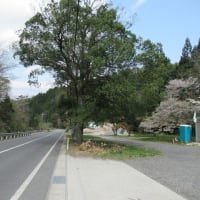 縄久利神社本宮（飯盛山）