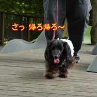 初めてのお出かけは病院　その後に