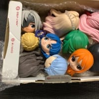 新しい顔だよー