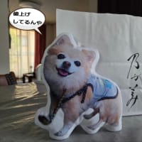 値上げしてるじゃん！