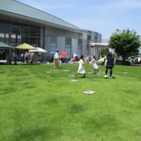 大判かるた取りを開催しました!!