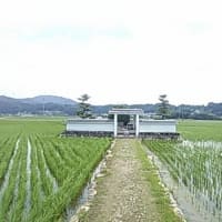 徳川家臣紀行　13　井伊直政