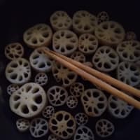 蓮根の断面