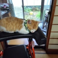 あれから一年