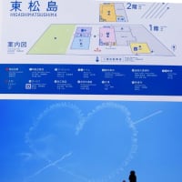 北に向かって・ちょこっとお出かけ（８日目）ブルーインパルス