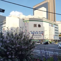 気づけばゴールデンウィーク終わってました…。