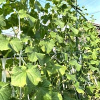 7月6日（日）②