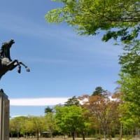2025年新春初投げディスクゴルフ大会のご案内
