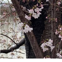 今日いち-2025年3月28日