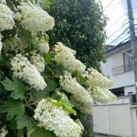 つむぎ産後ケアサロン　スタッフ研修会