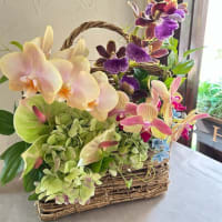 美容室25周年お祝いに