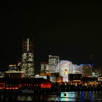 大桟橋