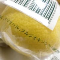 日本を蝕む危険な食料品