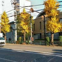 図書館に行ってきた