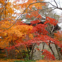 埼玉県新座市平林寺