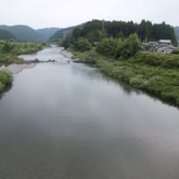 本日の海部川