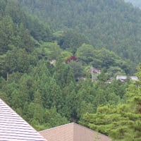 榛ノ木尾山（イソツネ山撤退）