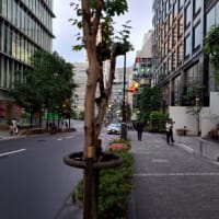 麹町界隈の夕方に