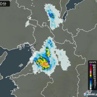 またもや大雨　