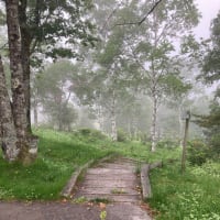 雲上のホテルに泊まりました