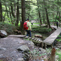 上高地　梓川右岸散策　１８