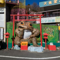 伊豆いち＆湾いち