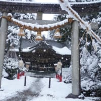 今年も宜しくお願いします