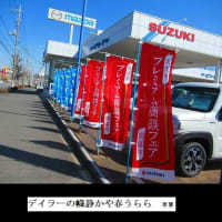 ★１１　「集合体恐怖症」