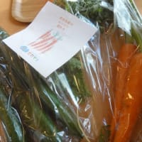 帯津先生の生と死の統合～無人直売ニンジン＆キュウリ