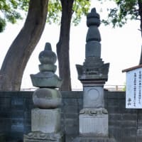 小松姫の墓(鴻巣市勝願寺)