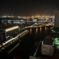 孫が撮った横浜の夜景