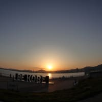 distorted BE KOBE nega #02