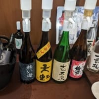 大人の休日倶楽部パス　1日目（静岡県）