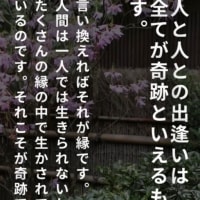 コン爺　グーブログ500日❣️