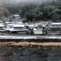  JR西日本を中心とするローカル線乗車を主とする旅（あと福岡）（2021年12月～2022年1月）（Day4-1）（14）