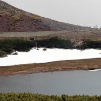 乗鞍岳　畳平周辺を散策　２
