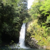 伊豆半島で一番の名滝「浄蓮の滝」に行ってきました・・・石川さゆりさんの名曲「天城越え」の歌詞にも出てくる女性の念のこもる滝