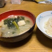 朝から土砂降りで結構濡れた