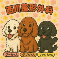 作ってもらいました♪
