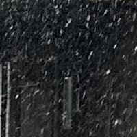 雪降りの写真撮影は難しい