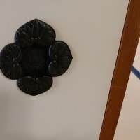 松戸へ