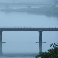 延岡ふるさと里山のチカラ再発見写真館NO3511