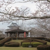 宮崎市天ヶ城公園の桜